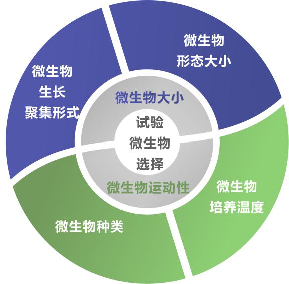 1621987879736208vZ71.jpg 1621987879736208vZ71.jpg