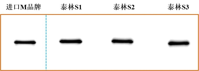 17726052816857748kt3.png 圖片7.png